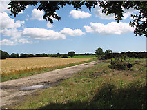 TM4077 : Crop fields near Holton by Evelyn Simak