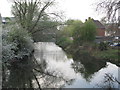 The River Colne upstream of North Bridge