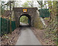 Railway bridge, Llwydcoed