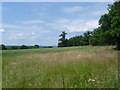 View from Glassenbury Road