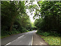 TQ1929 : Hammerpond Road, Mannings Heath by Geographer