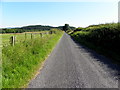 Road at Coolaghy