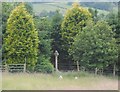 Burial Ground at West Barnley Farm