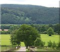 Looking south from Comrie Croft