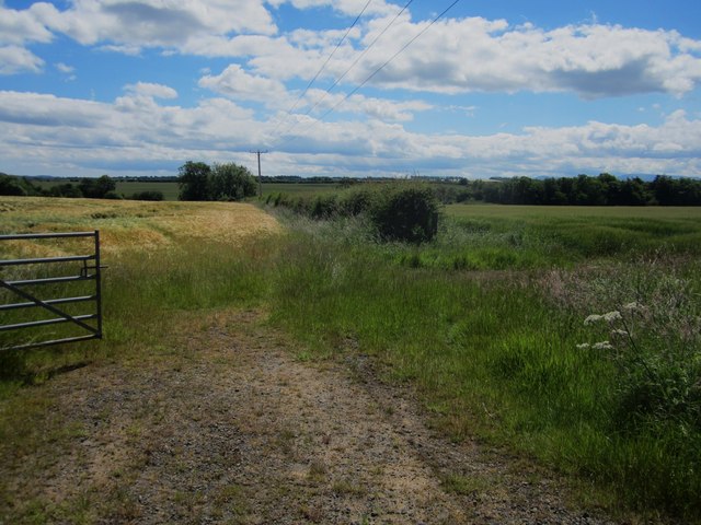 Gateway into arable fields