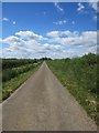 Country road between Berrington Law and Berrington Lough