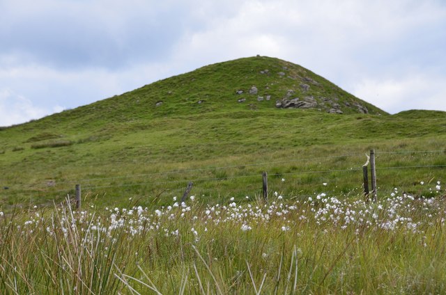 Cotton grass by the summit of Penchrise Pen