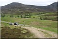 Auchallater across Glen Clunie