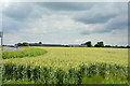 Holme Farm over wheat field