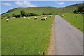 Mountain road below the Black Mountains