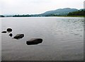 NN5800 : Lake of Menteith by Alex McGregor