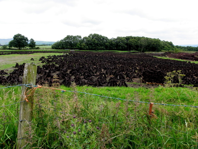 Field with turf, Kilmore