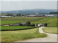 Track to "Greenfield" Stables