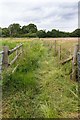 Footpath to Nursling