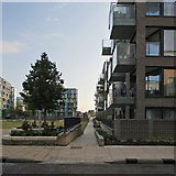 TL4657 : New blocks near Cambridge Station by John Sutton