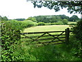 View over a gate from Reader