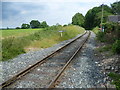 Up the line towards Tenterden Town