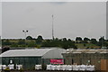 Borough Hill mast viewed across a garden centre