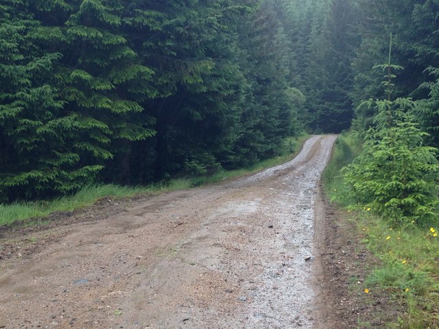 Forestry road near Garbh Dhoire