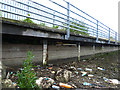 Itchen Riverside Boardwalk