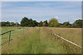 Path between paddocks near Duddenhoe End