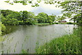 Down Brook at Leyland Green, Garswood