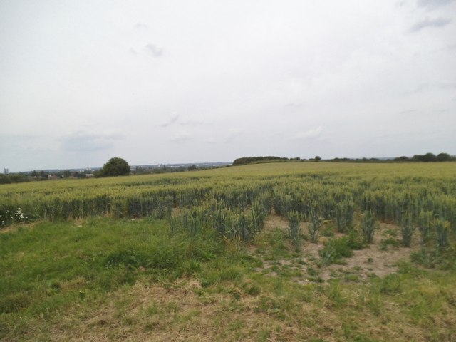 Northway Crops View