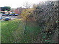 Overgrown remains of Dymock railway station platform