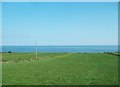 Coastal hay meadows at Annalong