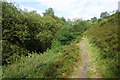 Path in Rocher Vale