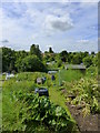 Stonebridge allotments, Faversham