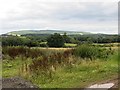 View towards Shobdon Hill