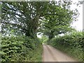 Narrow lane, Lewis Wych