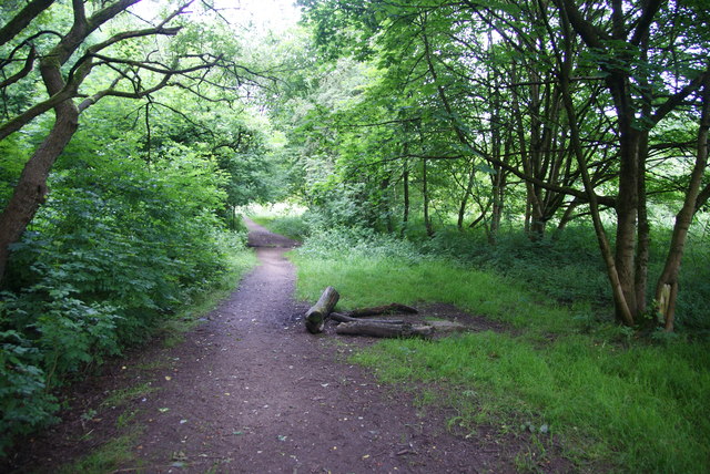 Path in Leesbrook Nature Park © Bill Boaden :: Geograph Britain and Ireland