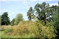 SO3656 : The Spiral Mound, Westonbury Mill by Des Blenkinsopp