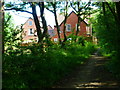 Footpath in Wormley