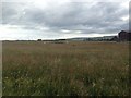 NR6521 : Airfield grass and roads at Machrihanish by Steven Brown