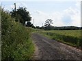 Farm road, Tedstill