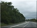 Part of a complex junction on A12 southbound in Bentley Long Wood