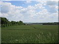 Arable  field  to  Woolstone  Hill  Barn