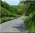 Stanton Lane near the village of Thornton