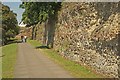 TL9925 : Roman city wall, Colchester by Jim Osley