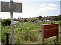 Allotments in the town