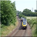 SX8465 : The railway northeast of Wrigwell Bridge by Robin Stott