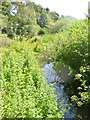 Alderney, Bourne Stream