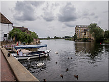 TL3171 : River Great Ouse from the Quayside by Kim Fyson