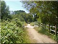 Bourne Bottom, footbridge