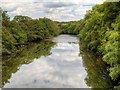 SE2281 : River Ure, Downstream from Masham Bridge by David Dixon