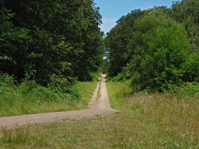 Tugley Wood track