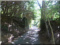 Looking down Tinker Pot Lane